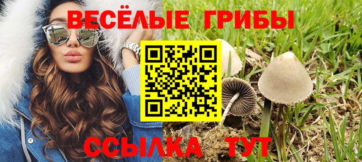 Кодеин  Метадон  Марихуана  ГАШ  Меф   Знаменск  Вход с VPN  Гашиш  Меф МЯУ МЯУ  ЭКСТАЗИ 