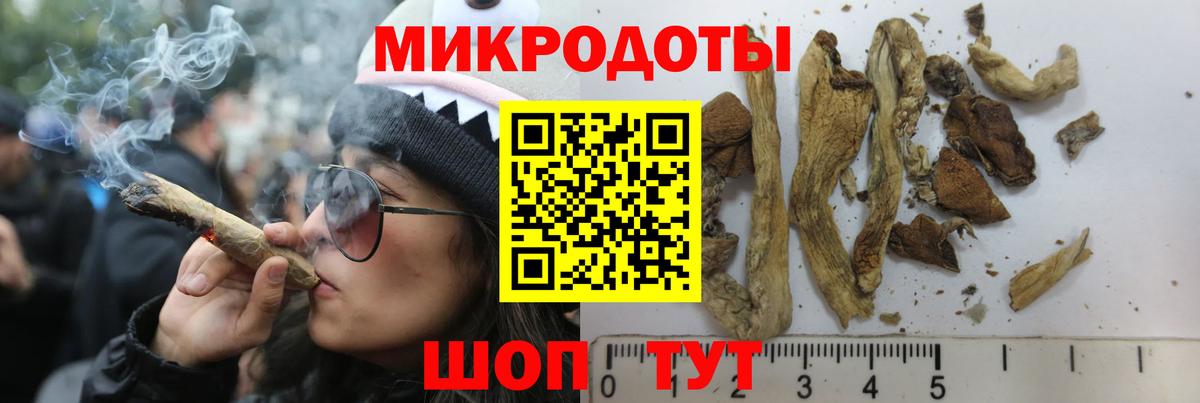 Галлюциногенные грибы Psilocybine cubensis  Вход с VPN  Знаменск  Галлюциногенные грибы мухоморы 